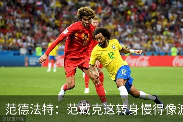 范德法特：范戴克这转身慢得像波音747，这可不是什么好事